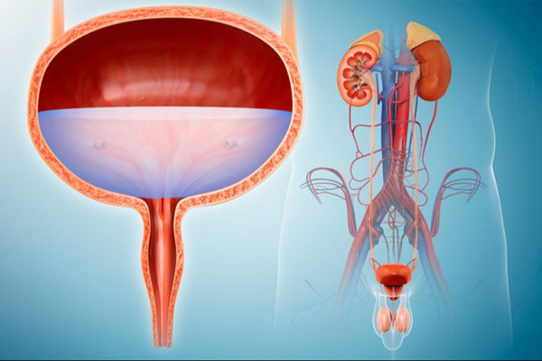 Urological Conditions